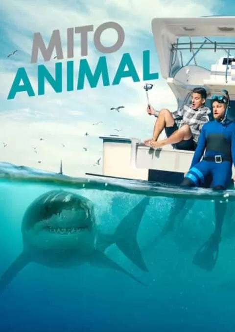 不可思议的动物